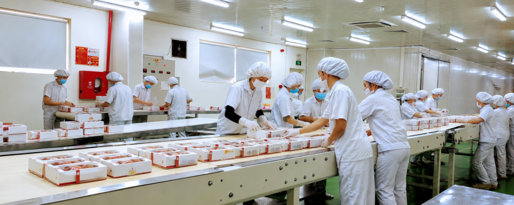 Giải pháp lưu kho, bảo quản thực phẩm, hàng hóa (2)